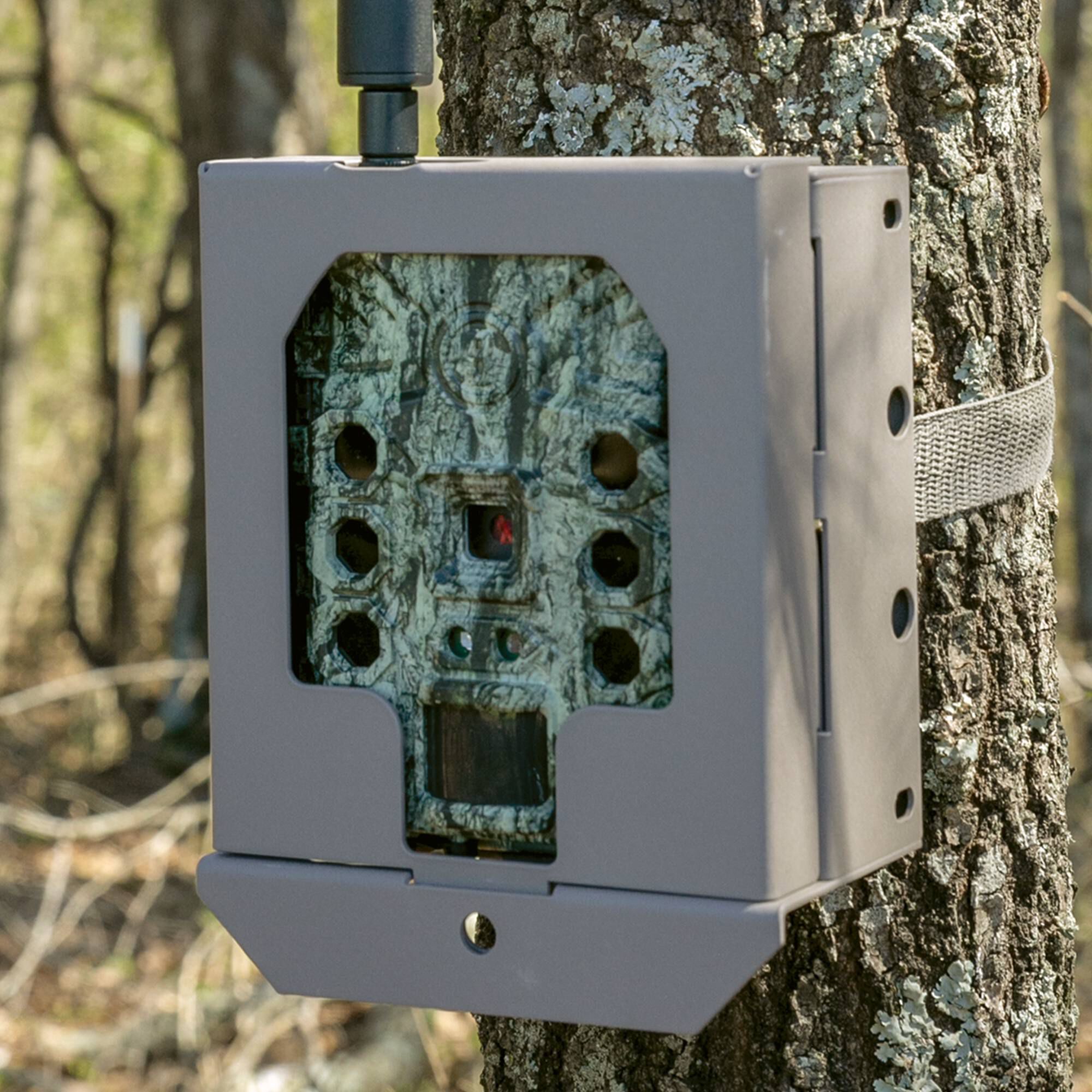 Security Box For Trail Camera Wild Game Cameras Bushnell